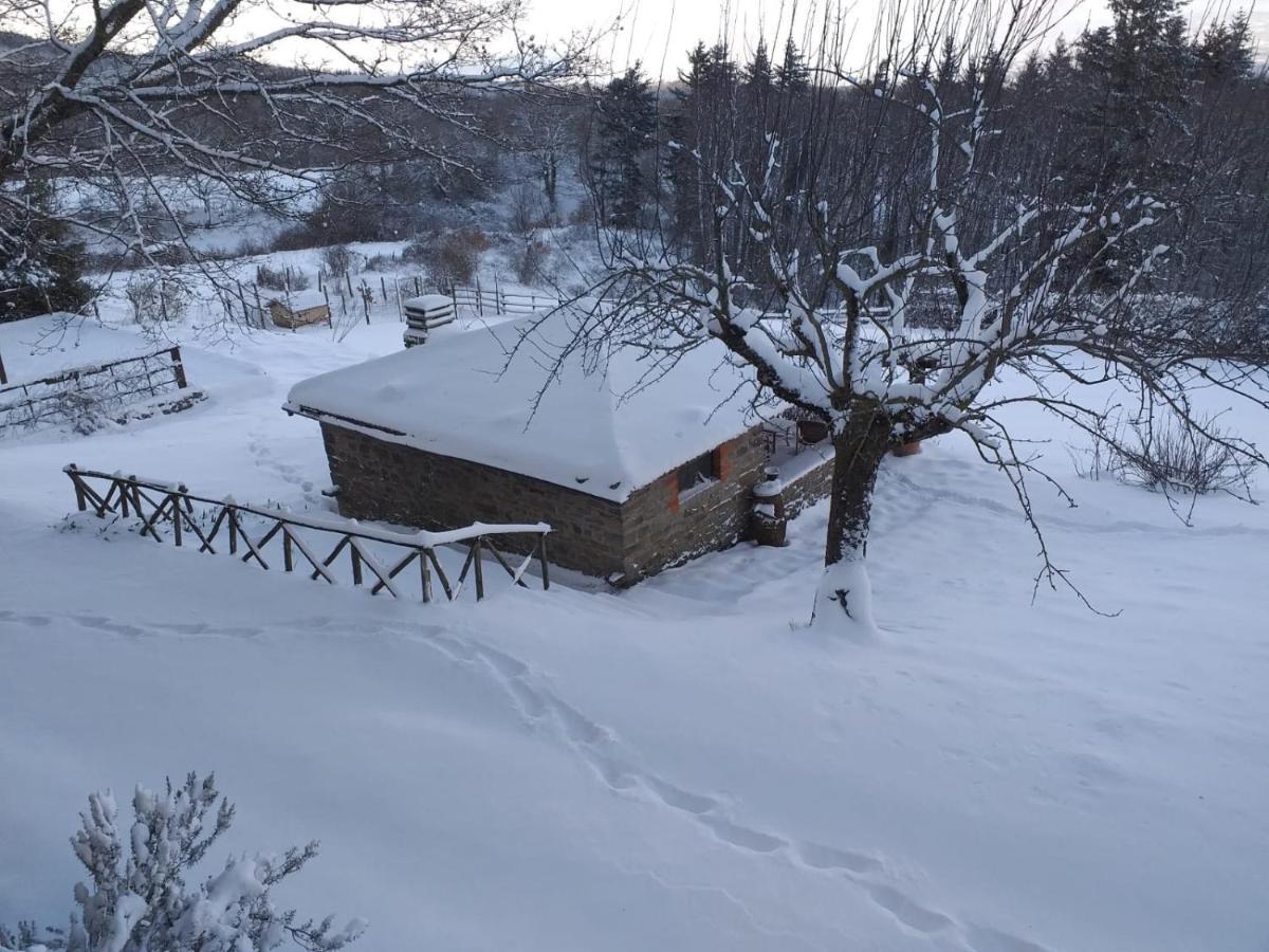 Casina Della Burraia Villa Subbiano Kültér fotó